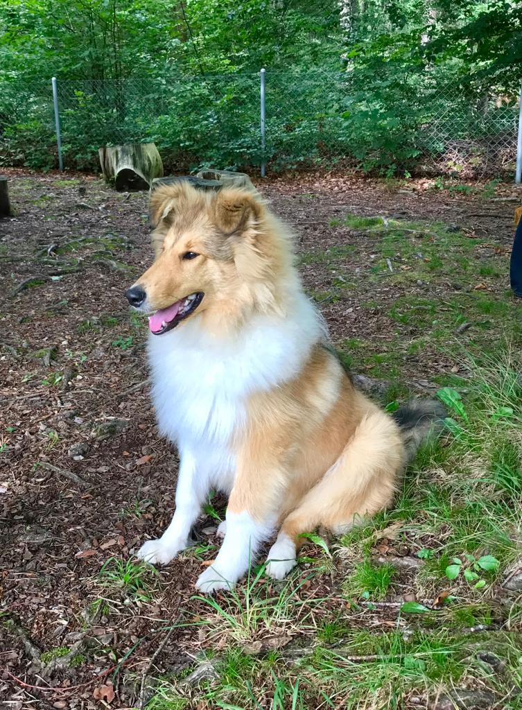 Eddie mit ca. 6 Monaten
