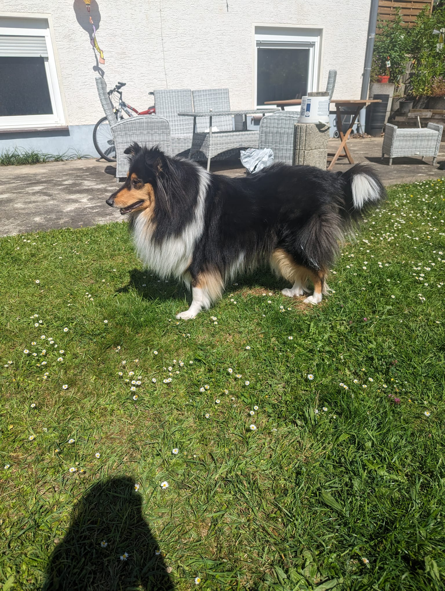 Jeany mit 2 Jahren 