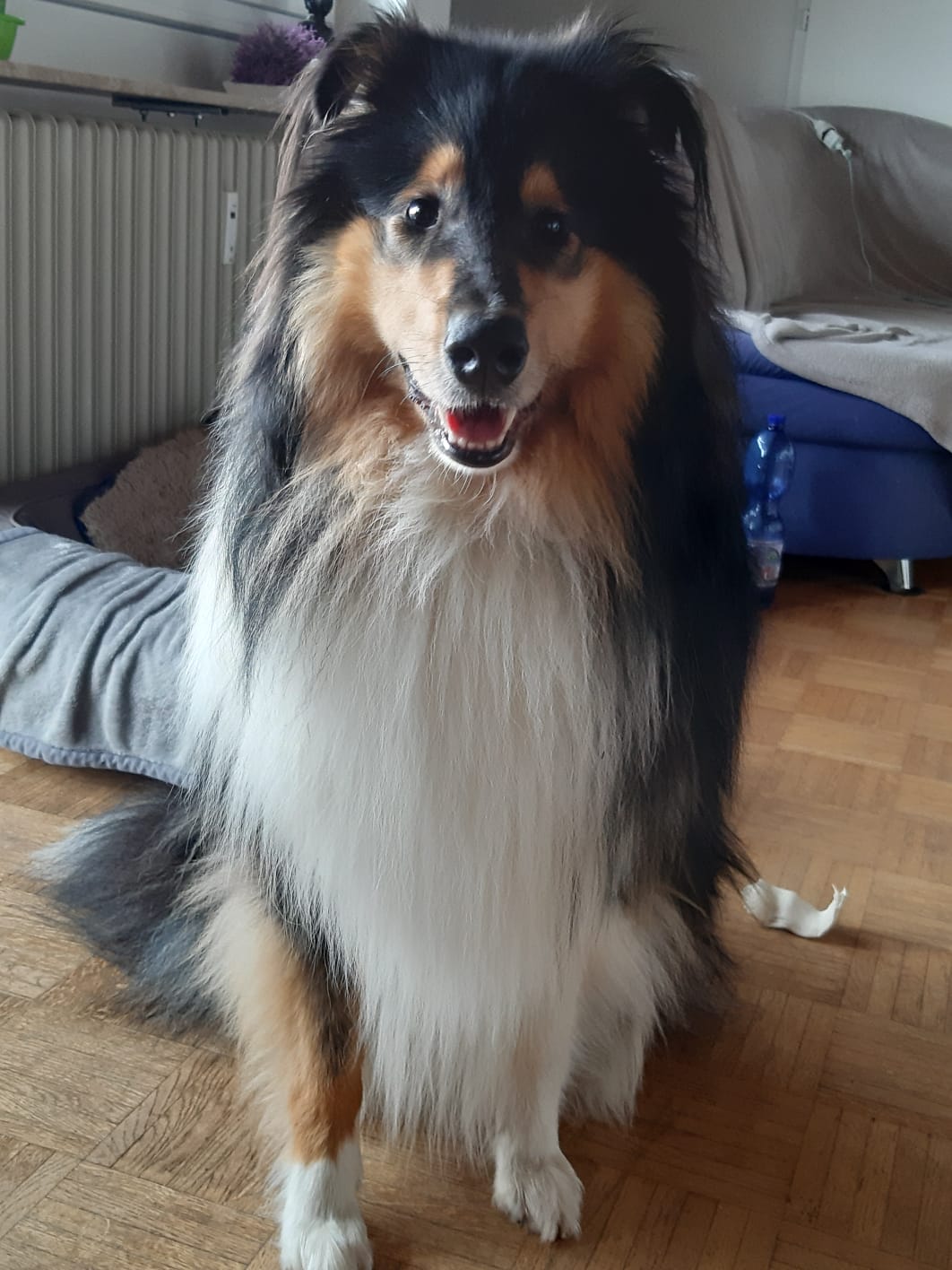 Ernie mit 12 Monaten