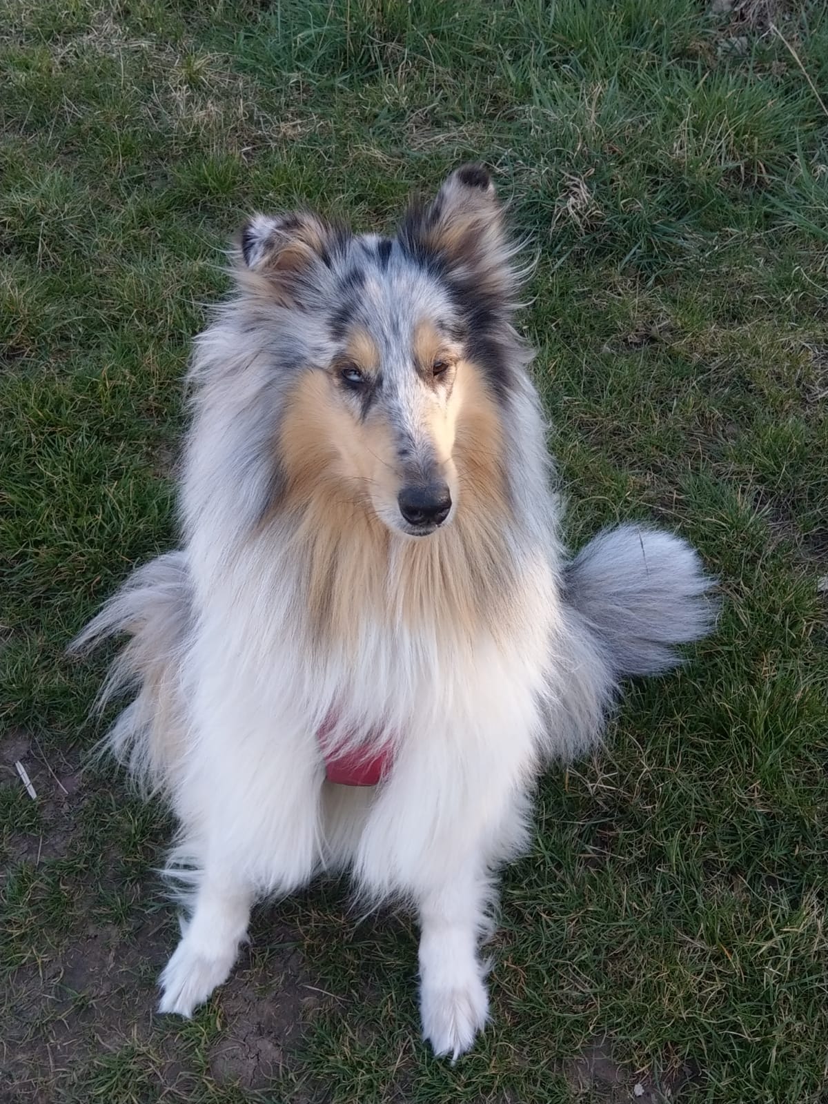 Cindy mit 3 Jahren