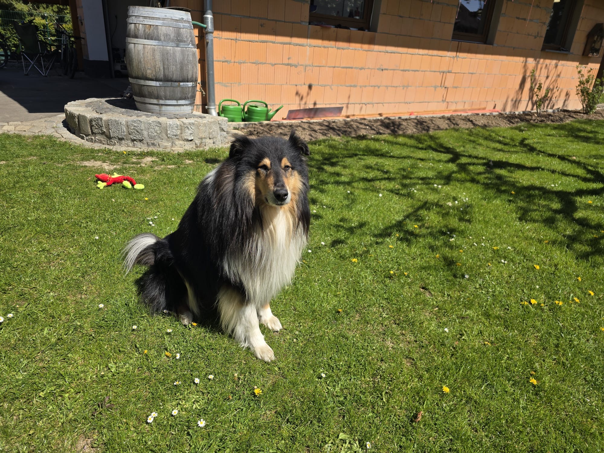 Harry mit 5 Jahren 