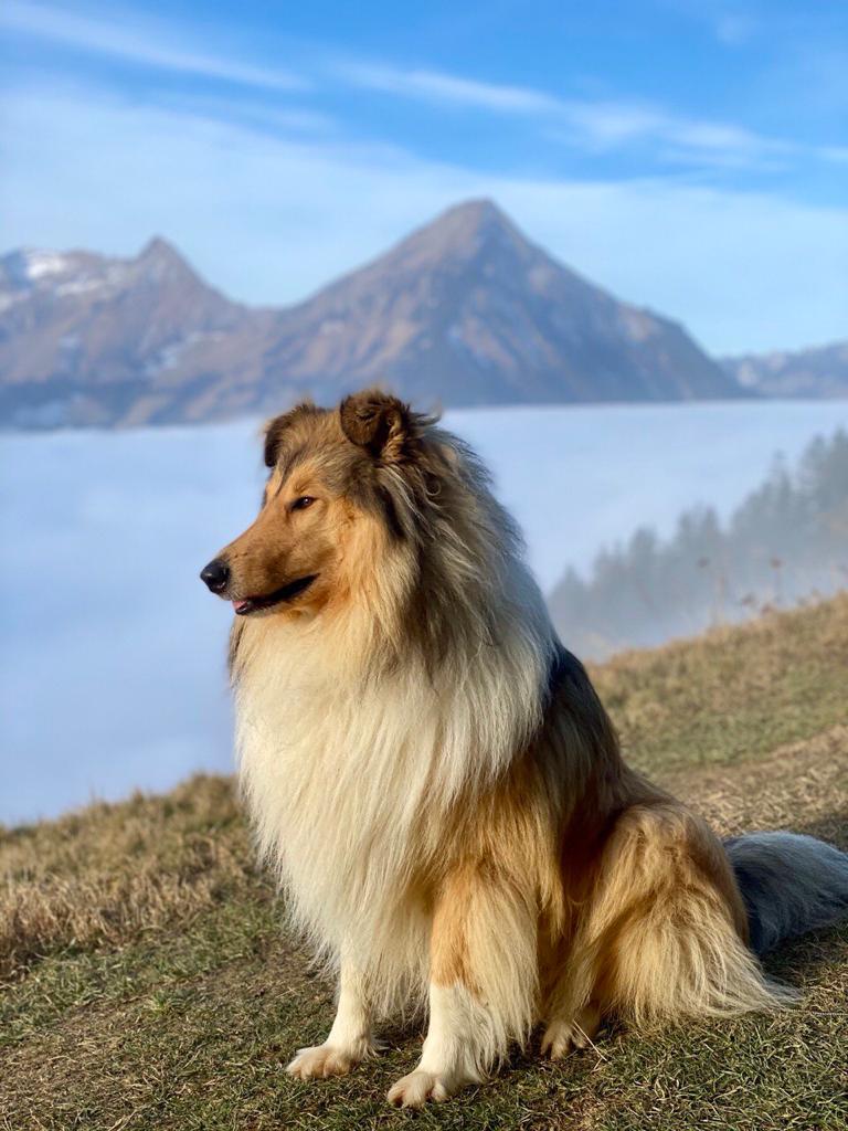 Eddie mit 2 Jahren