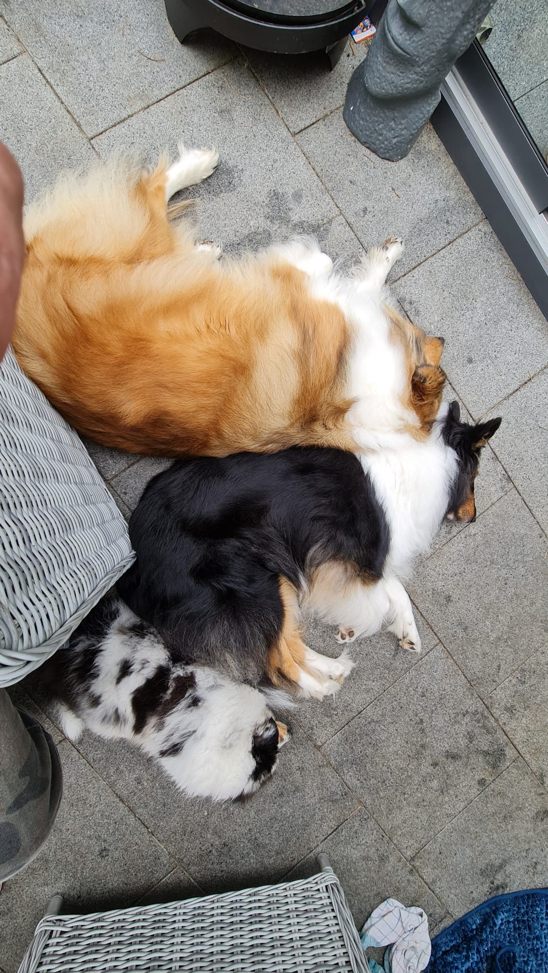Hanna mit ihren Ziehschwestern