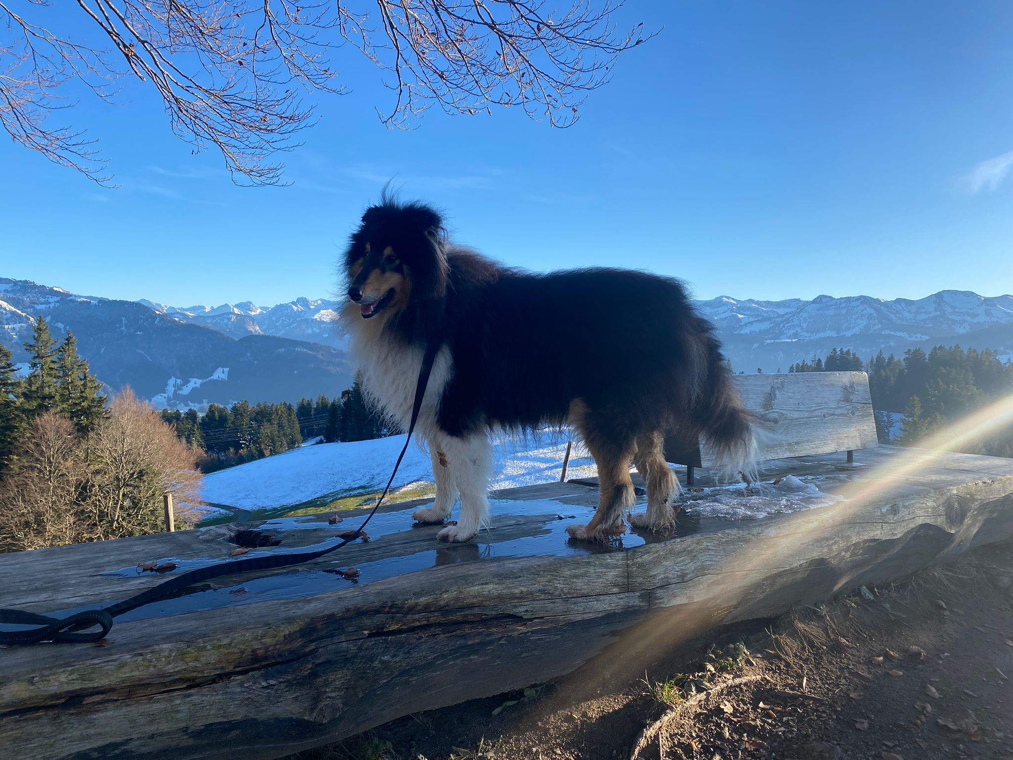 Gary mit 4 Jahren 