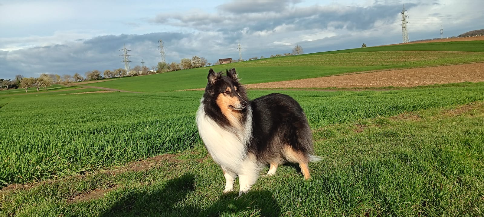 Cora mit 6 Jahren 