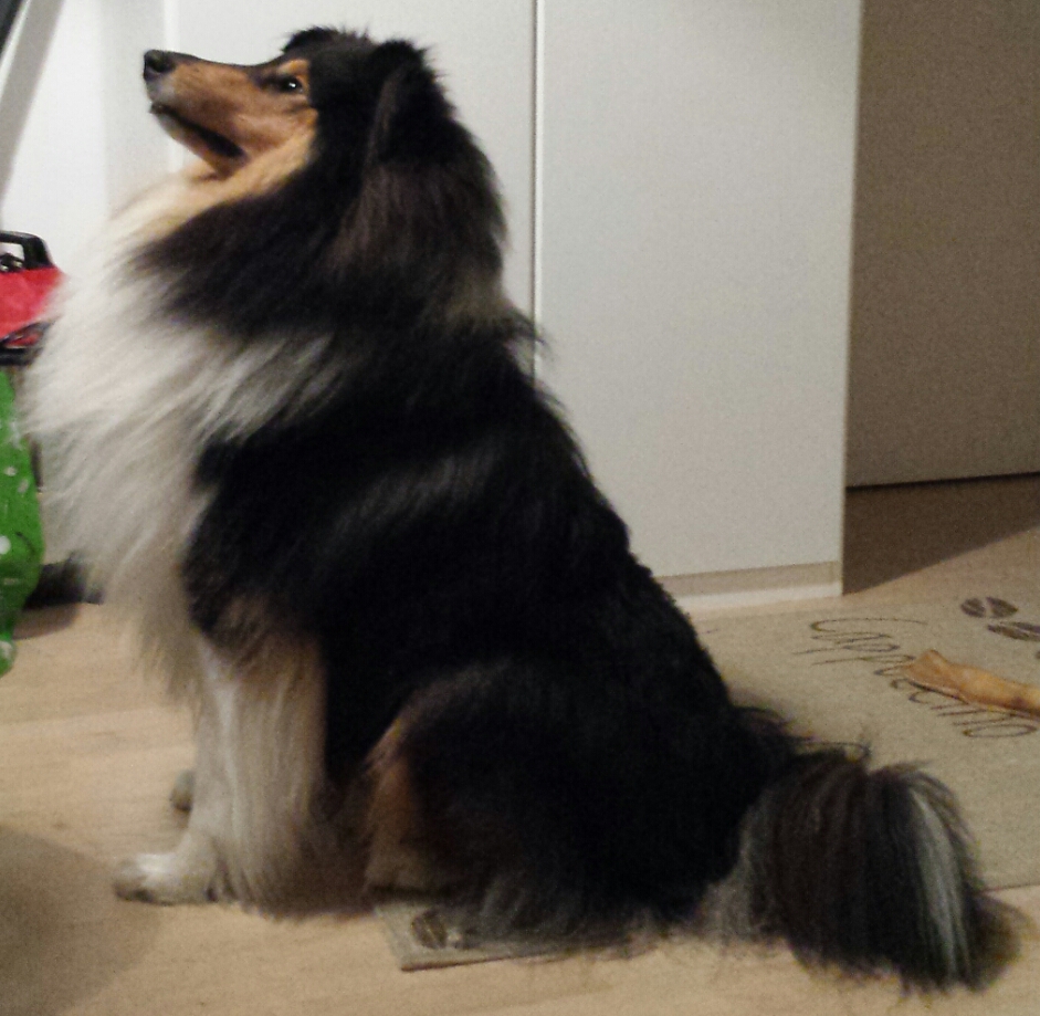 Elliot mit 2 Jahren