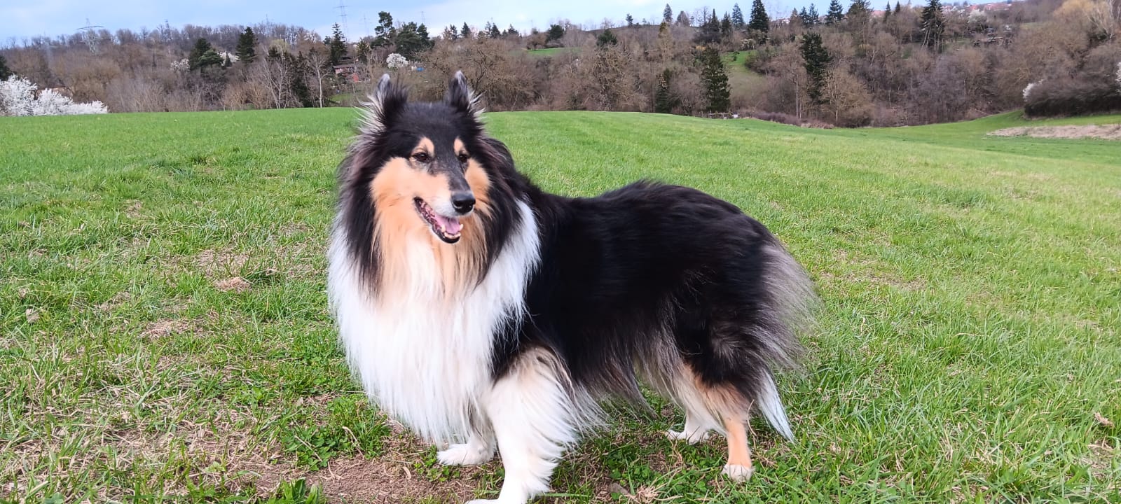 Cora mit 7 Jahren 