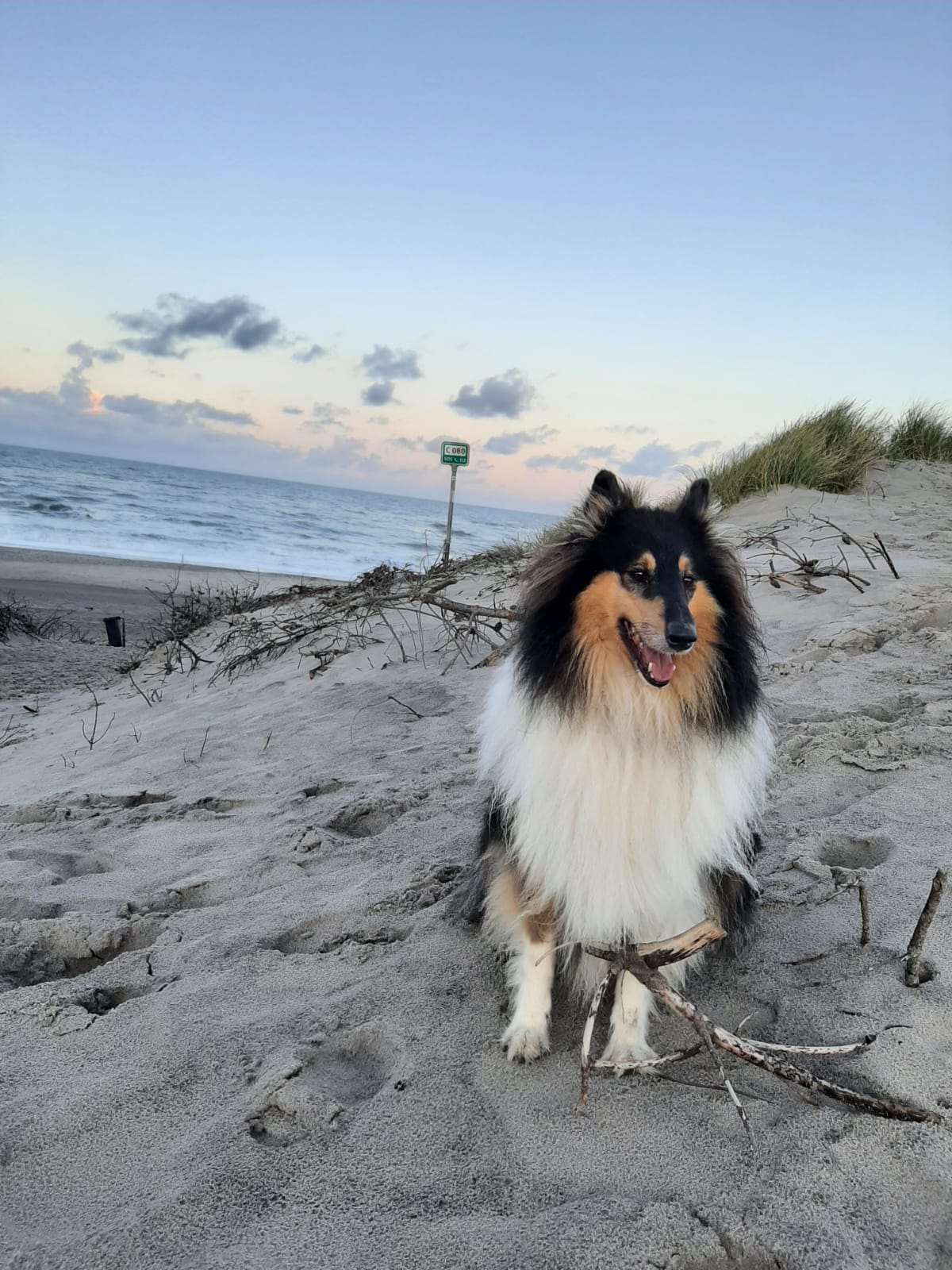 Cora mit 3 Jahren