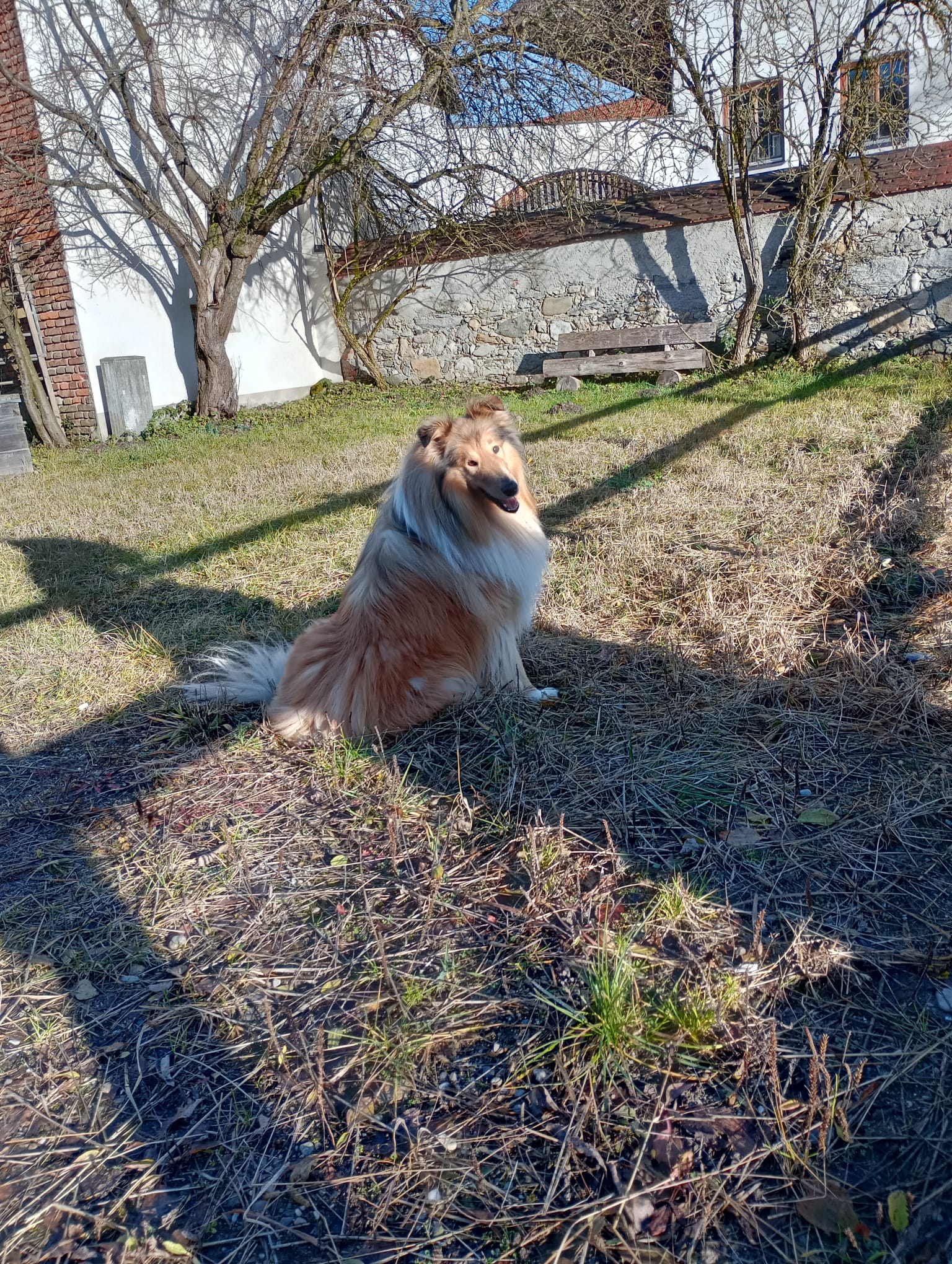 Ian mit 4 Jahren 