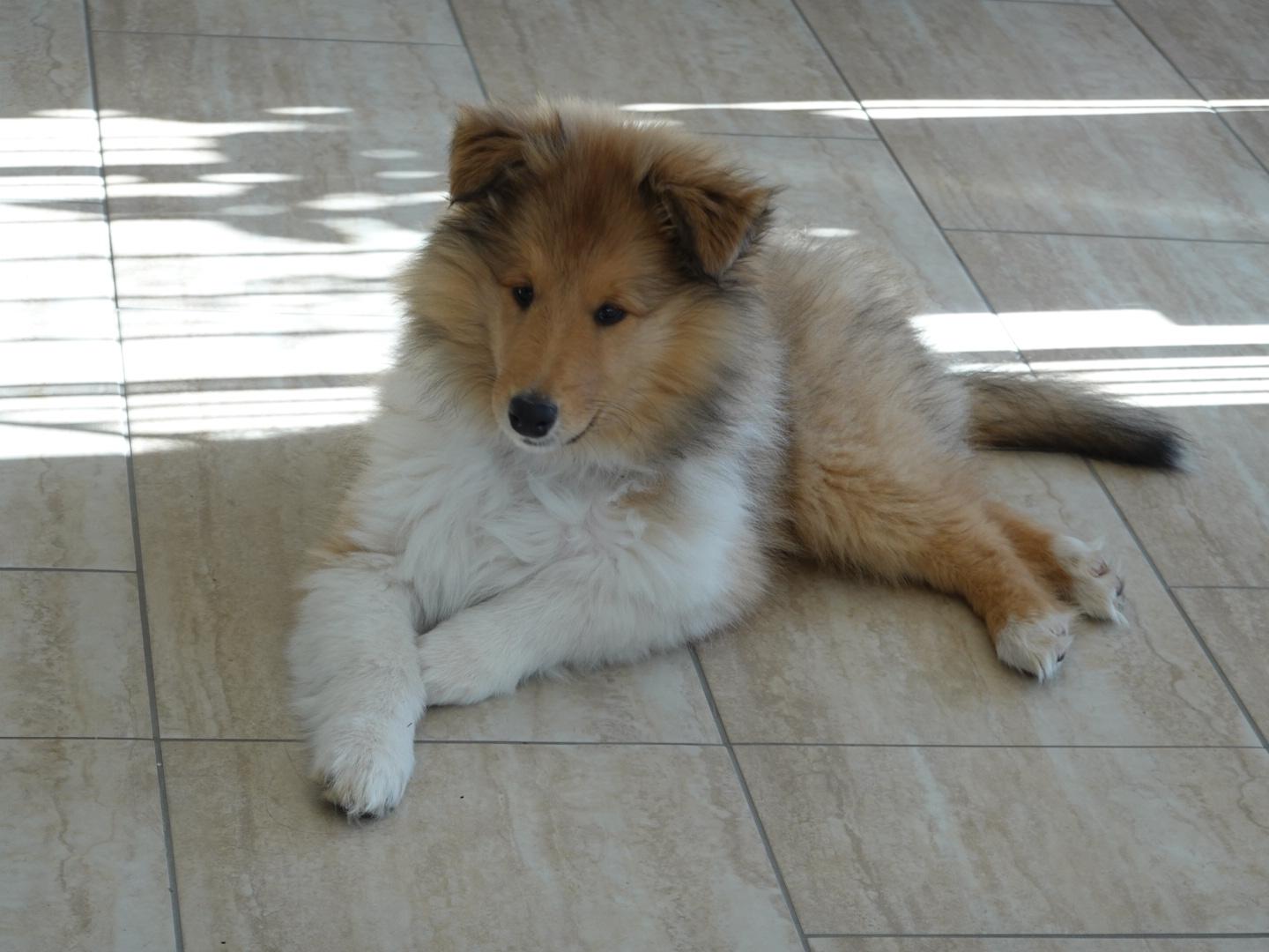 Ilana im neuem Zuhause