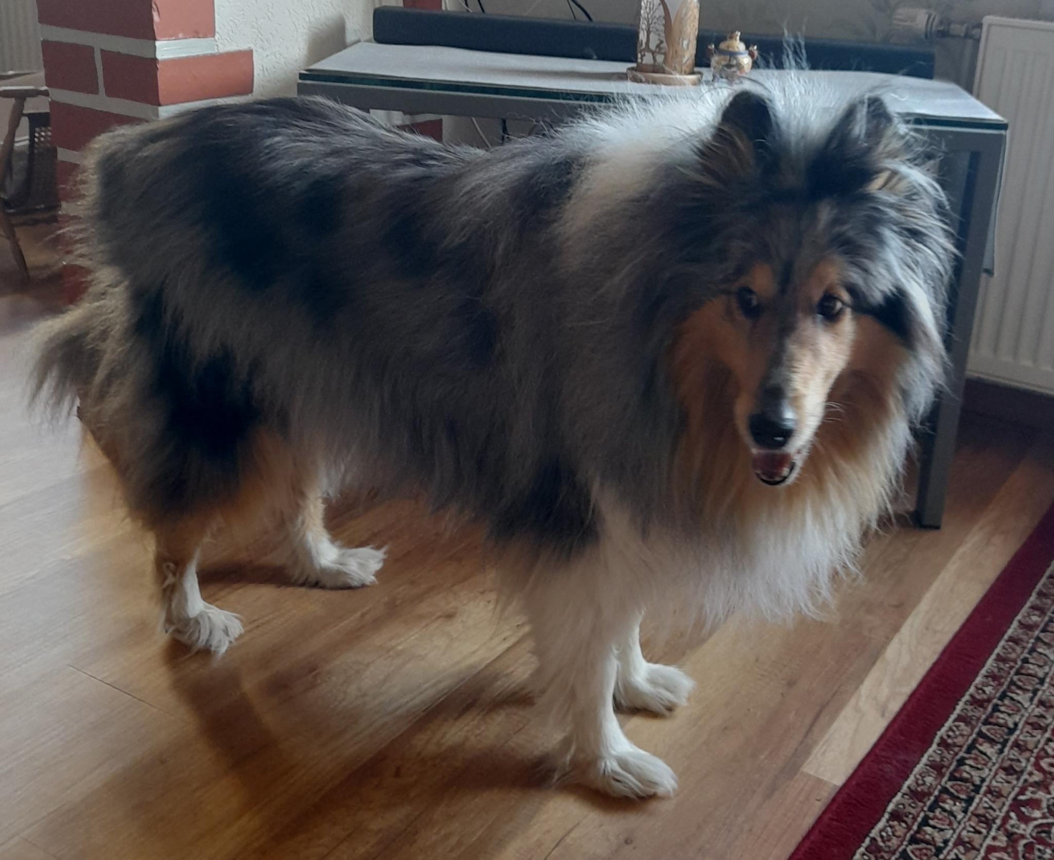 Ashley mit 10 Jahren 