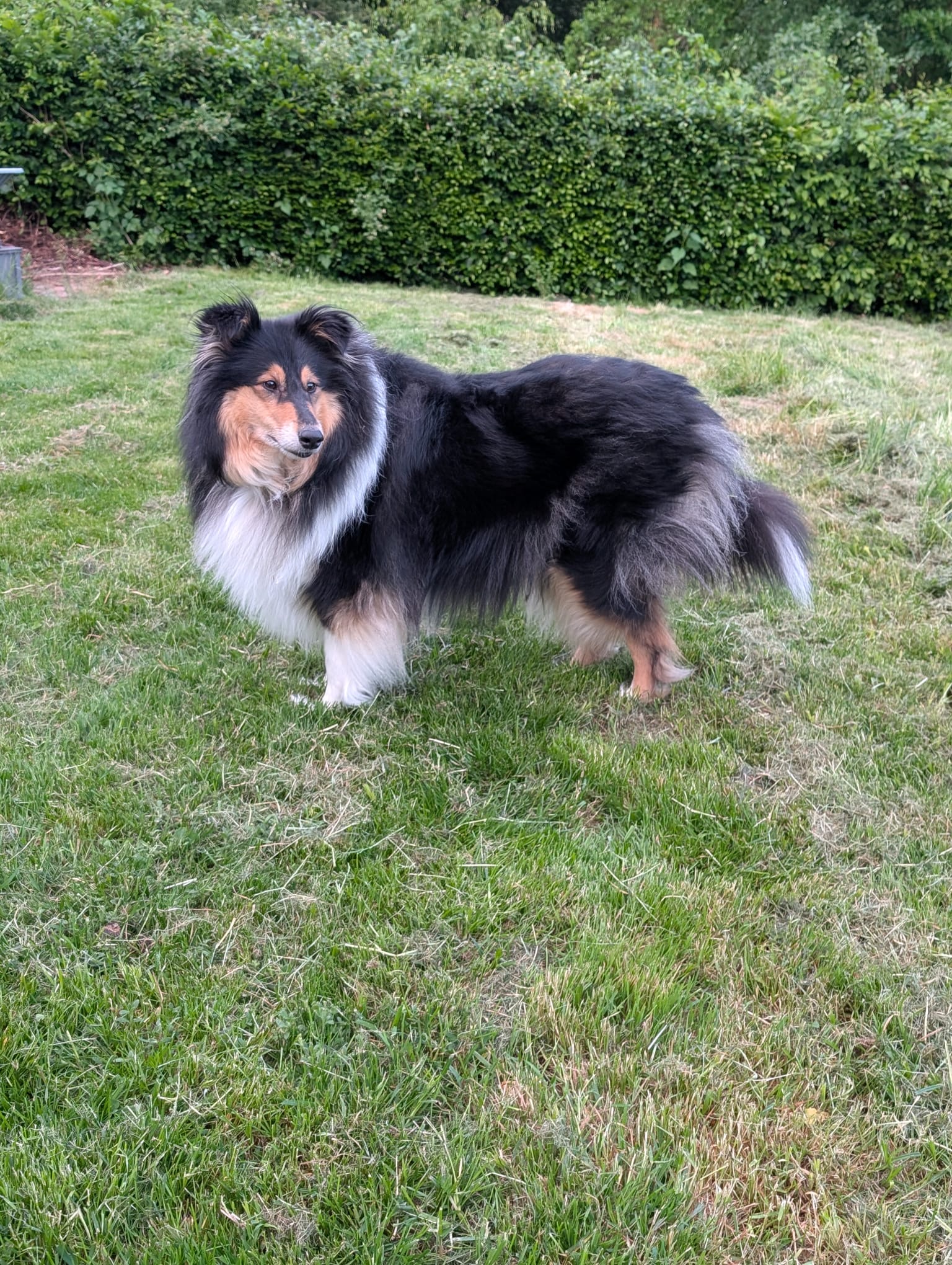 Jessi mit 4 Jahren 