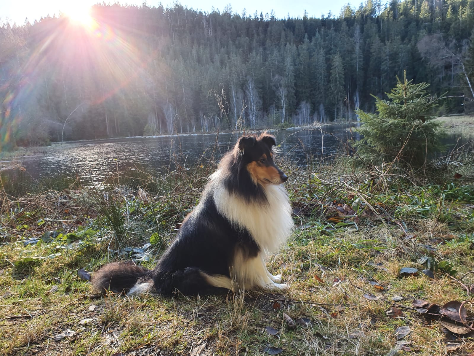 Bea mit ca. 2,5 Jahren