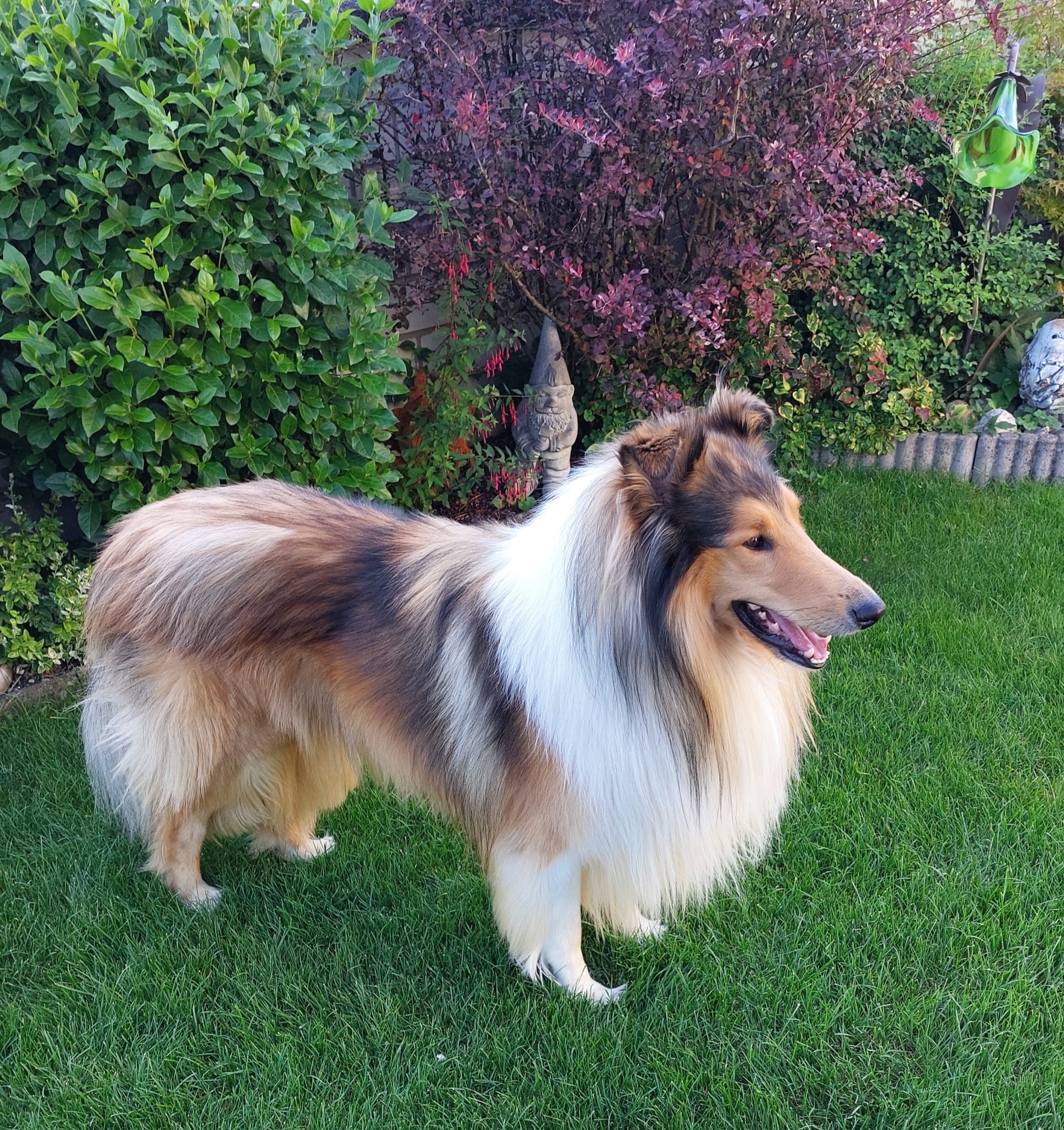 Indiana Jones mit 3 Jahren 