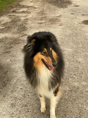 Luna mit 2 Jahren 