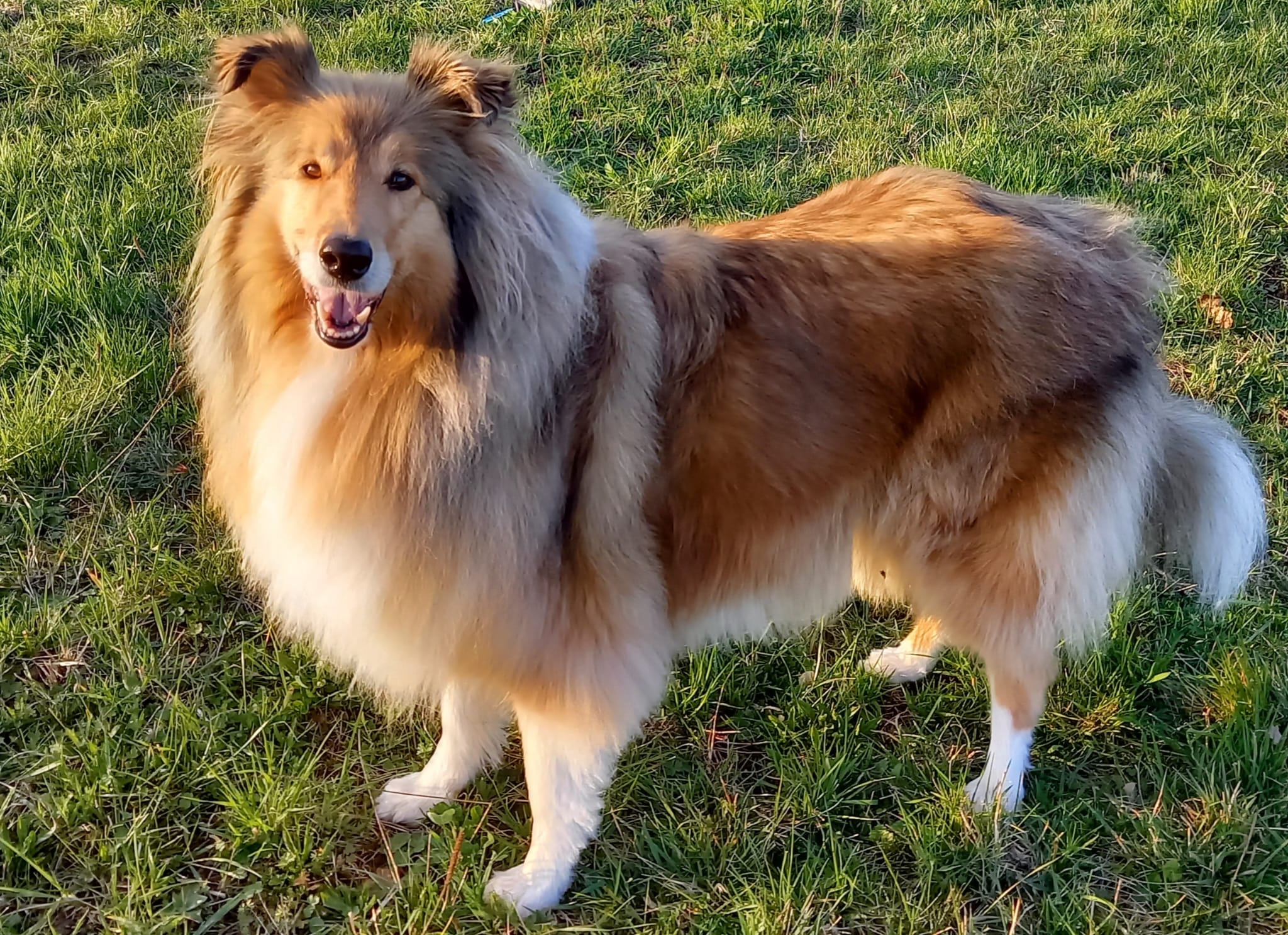 Elena mit 5 Jahren 
