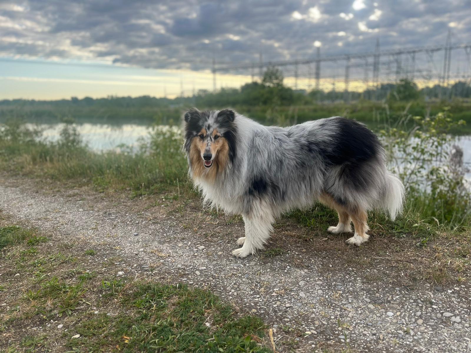 Juna mit 3 Jahren 