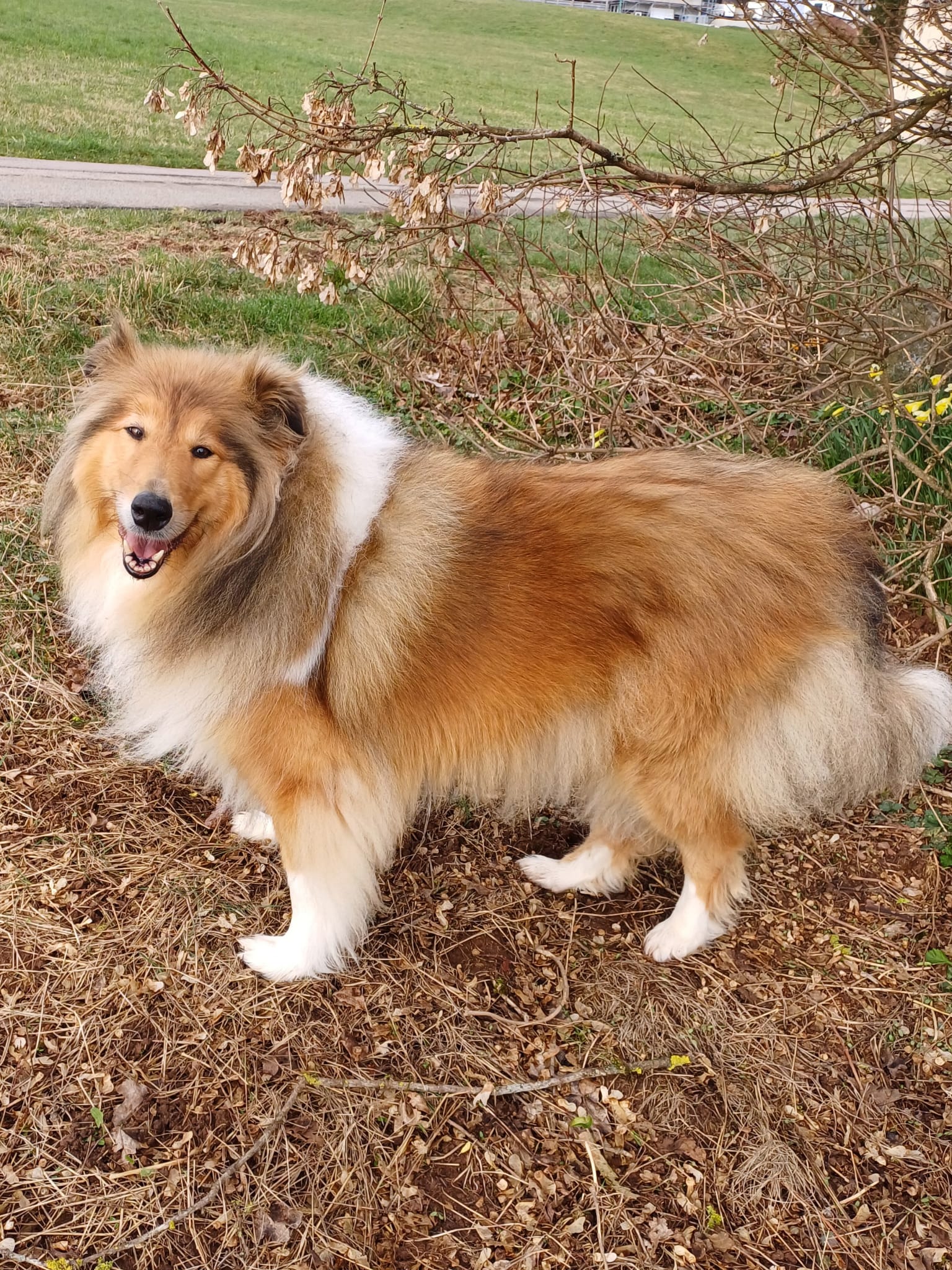 Elsa mit 5 Jahren 