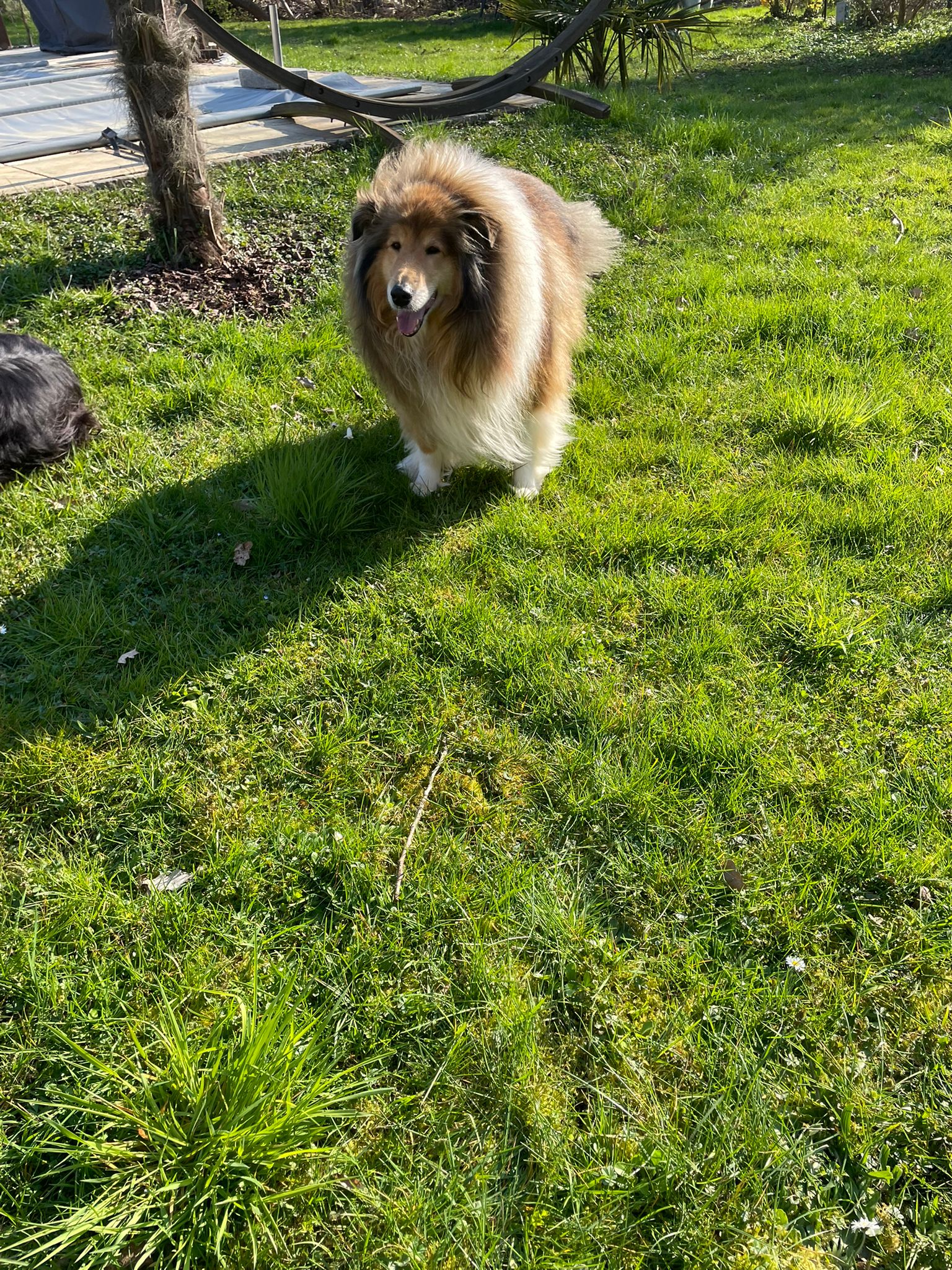 Enzo mit 7 Jahren 