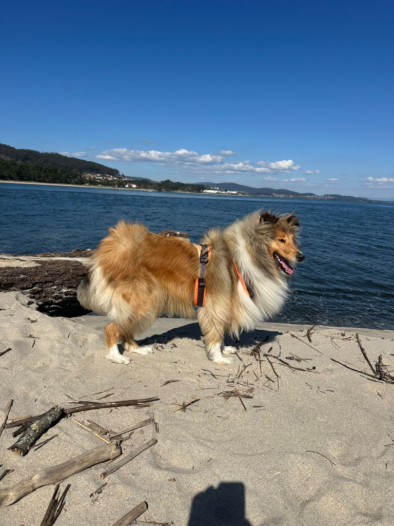 Kiara mit 3 Jahren 