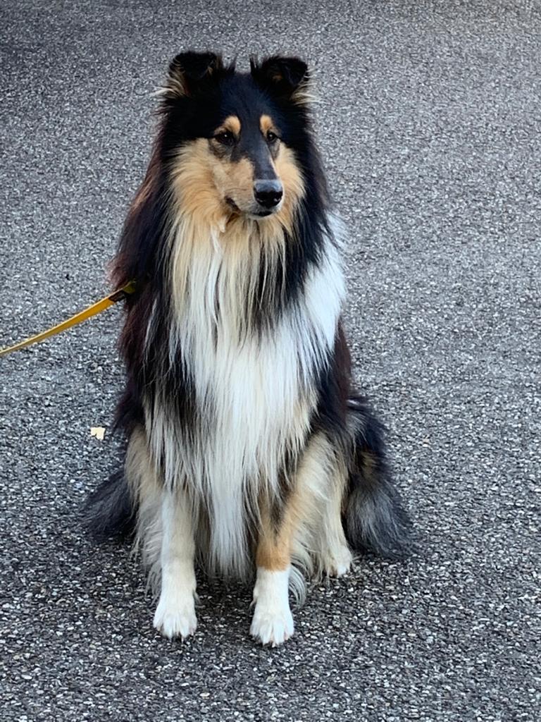Charly Brown mit 3 Jahren