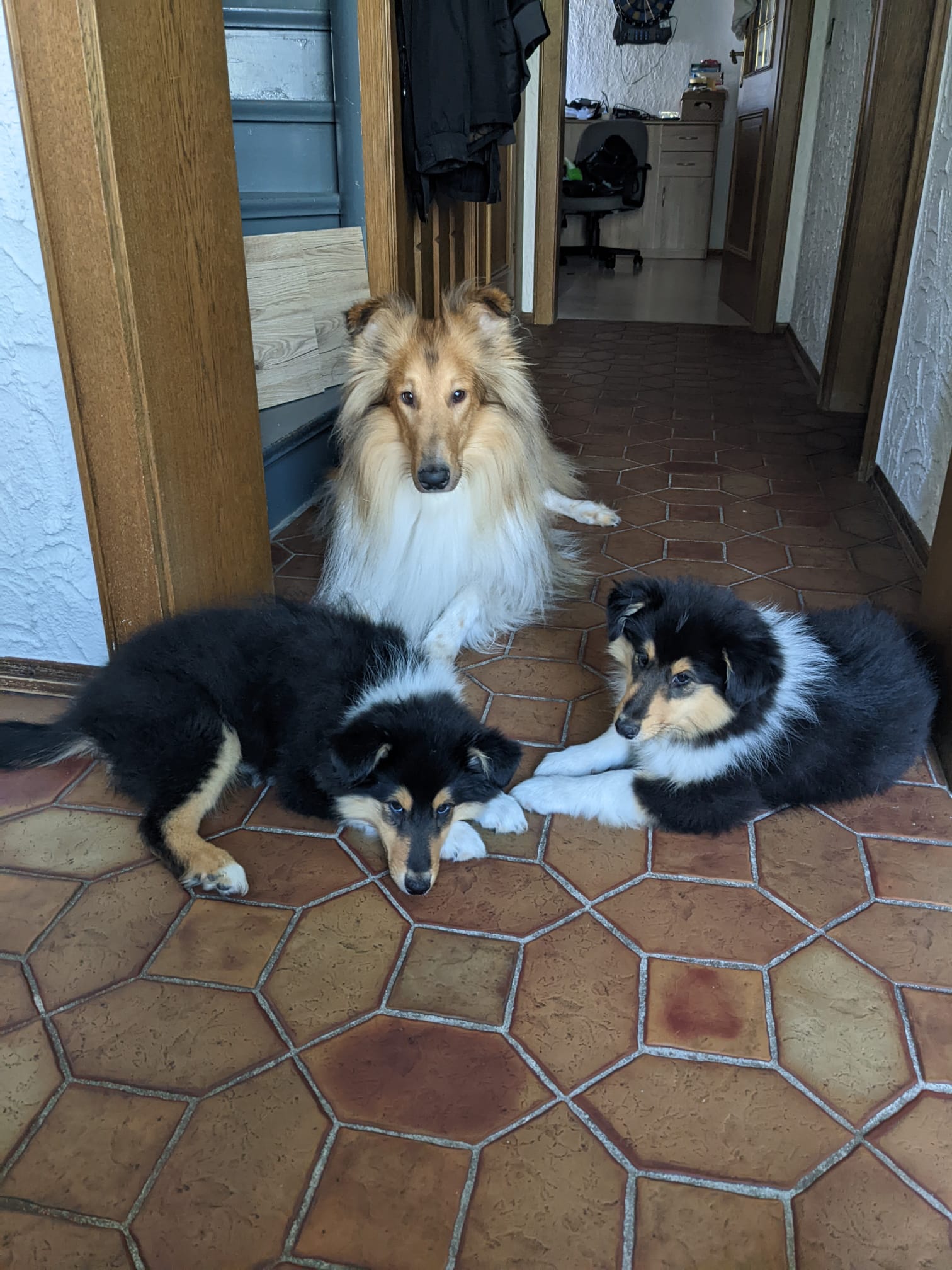 Jeany und Jessi mit Kumpel Thor