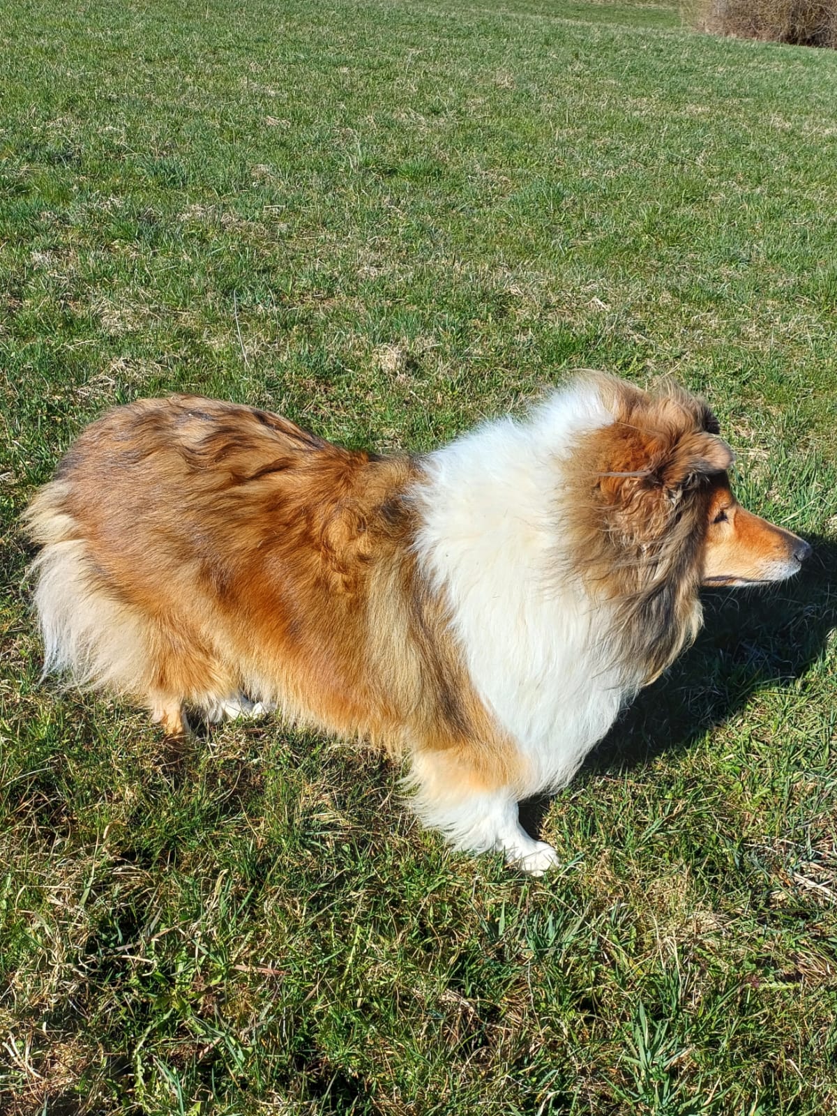 Elsa mit 6 Jahren 