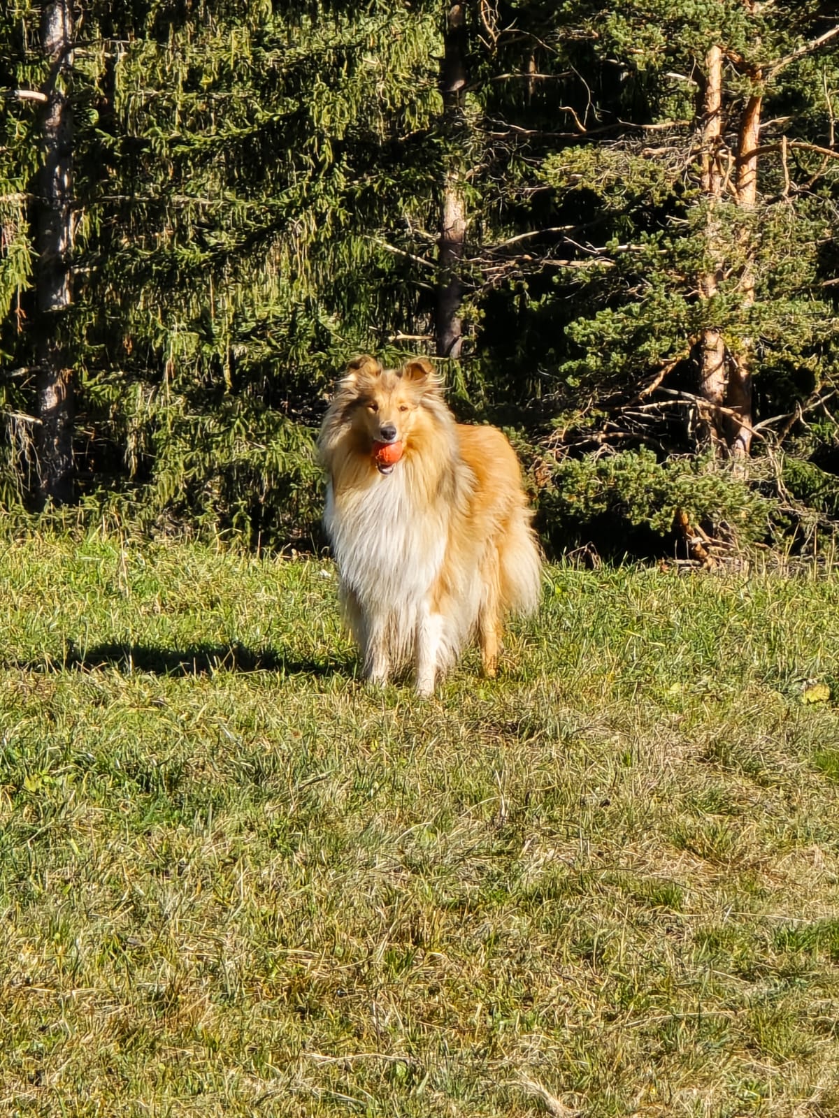 Infinity mit 3 Jahren 