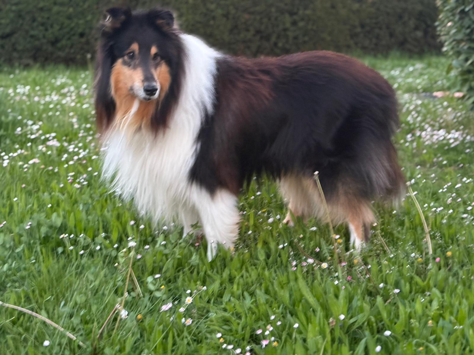 Aiden mit 9 Jahren 