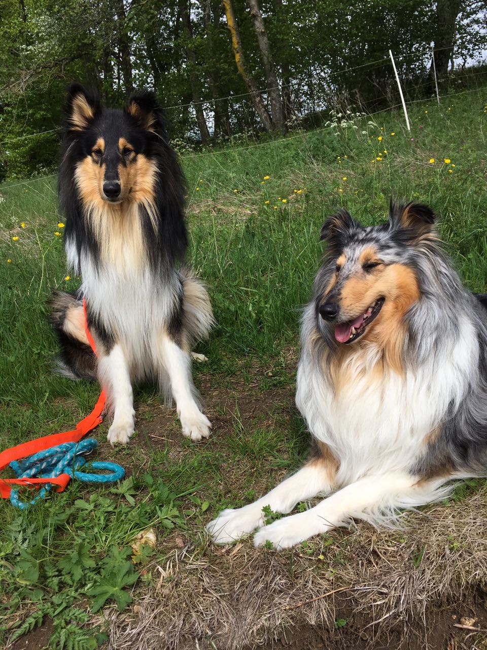 Alvin mit seiner Freundin Mila