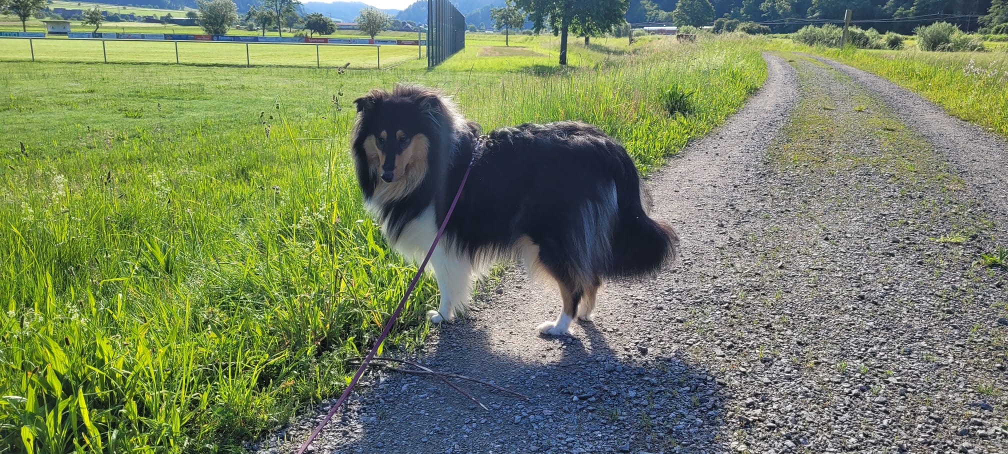 Minnie mit 1nem Jahr 