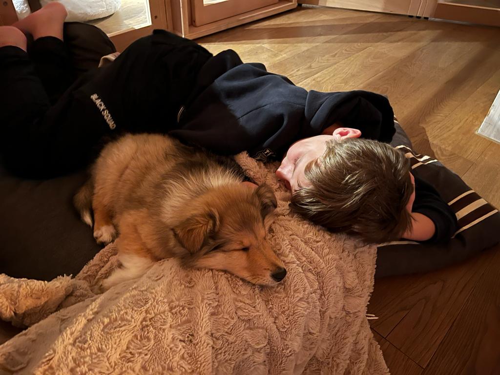 Iron Men im neuen Zuhause