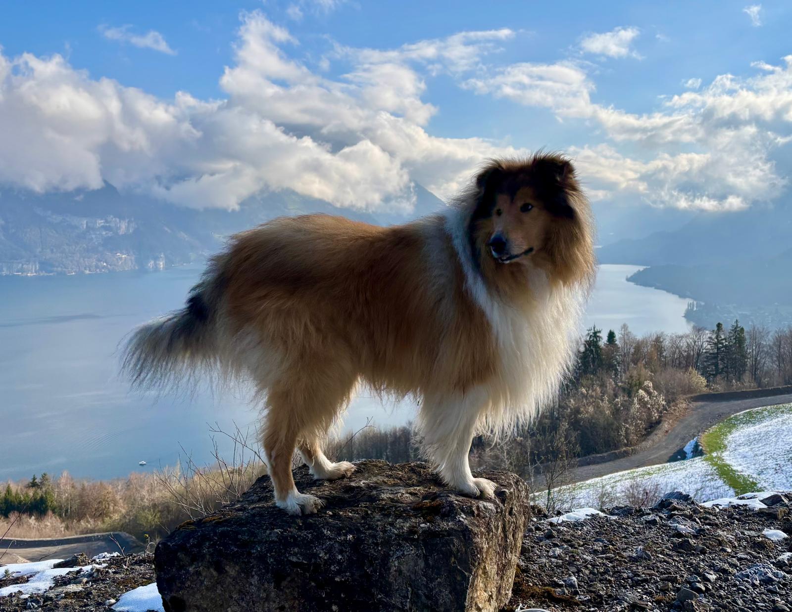 Eddie mit 7 Jahren 