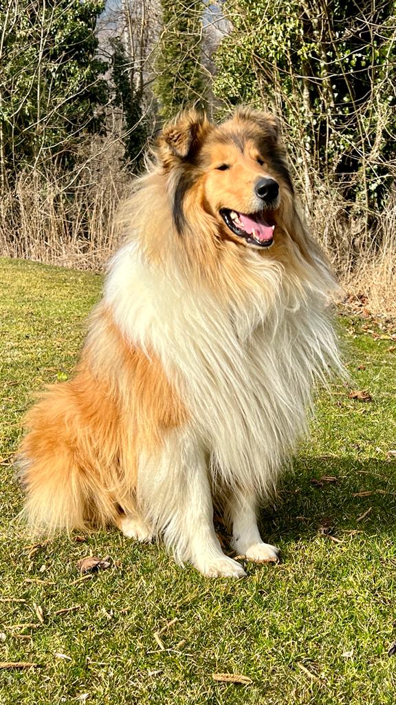 Eddie mit 3 Jahren