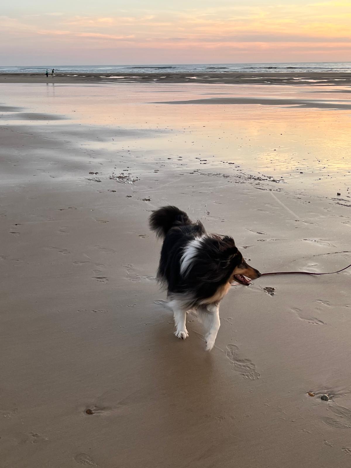 Minnie mit 3 Jahren 
