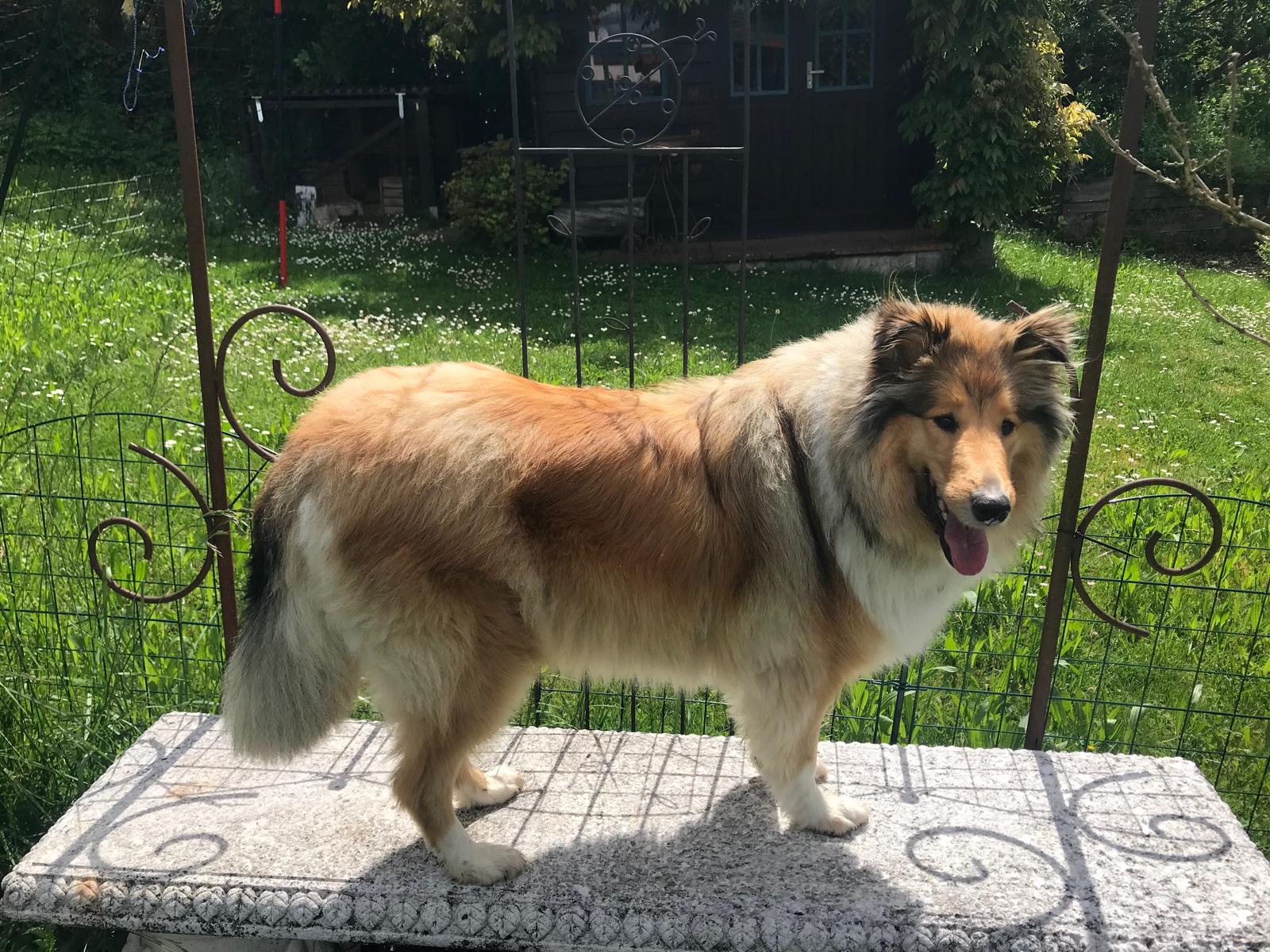 Kiara mit 2 Jahren 