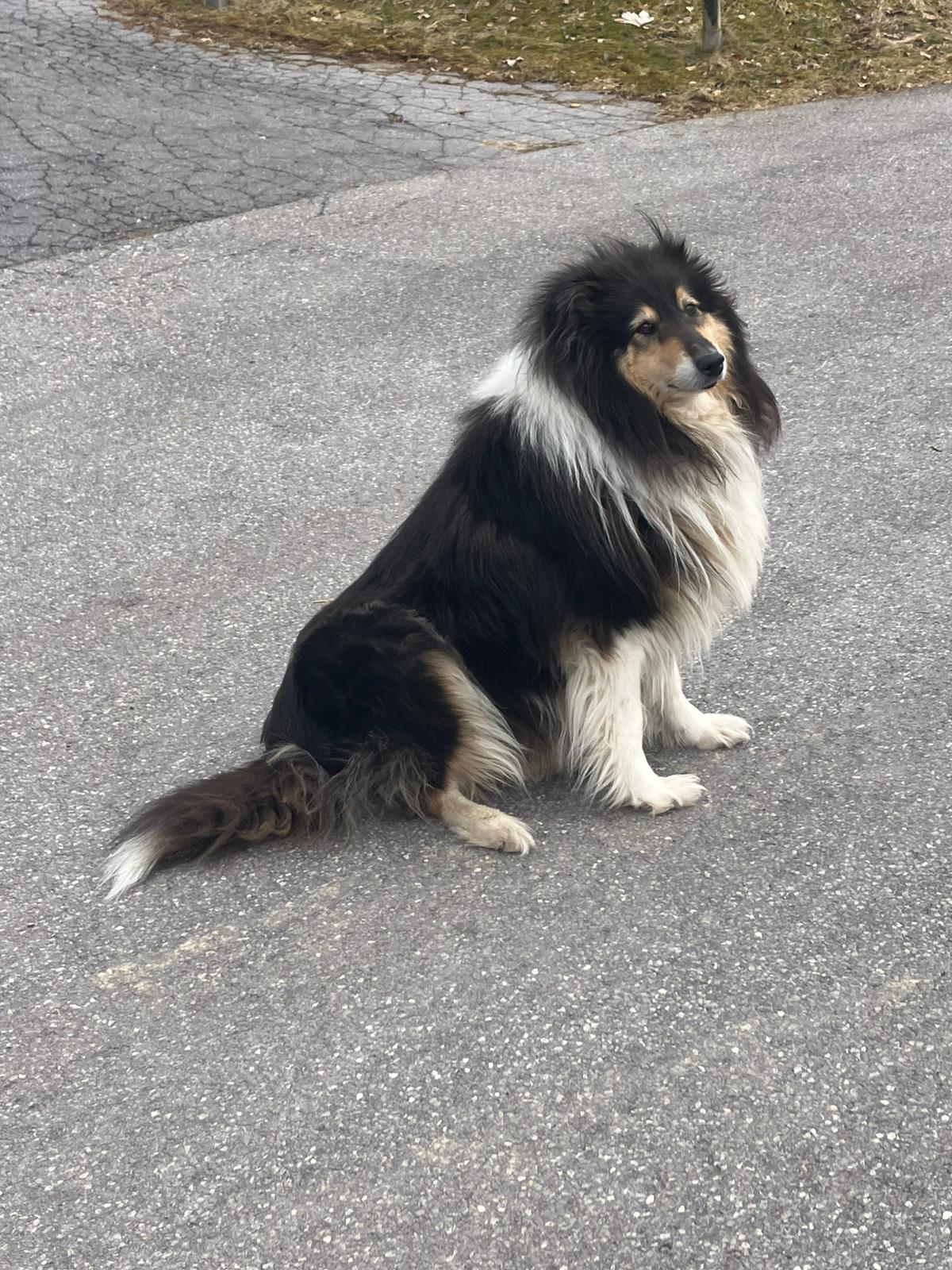 Enya mit 7 Jahren 