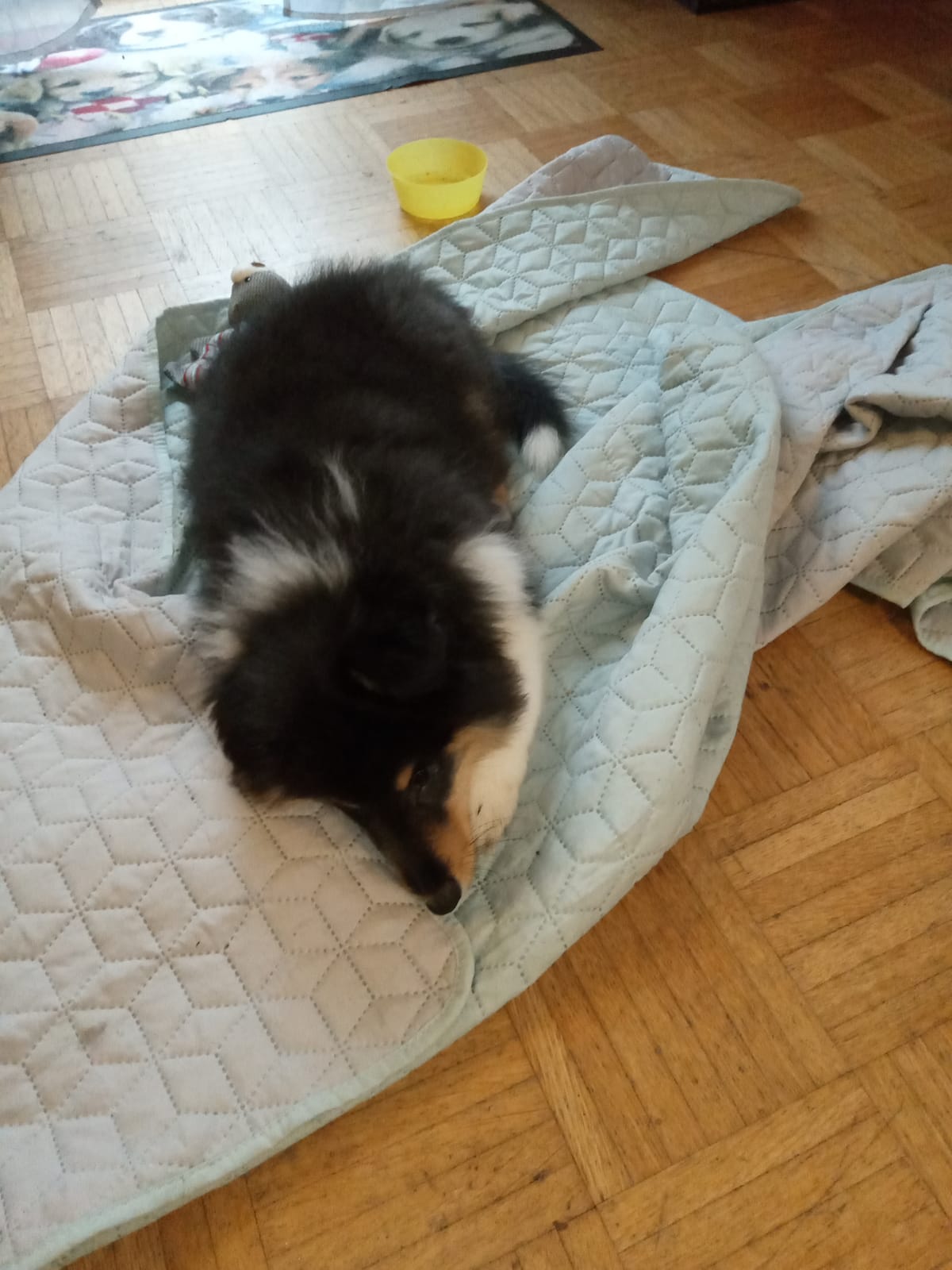 Gary im neuem Zuhause