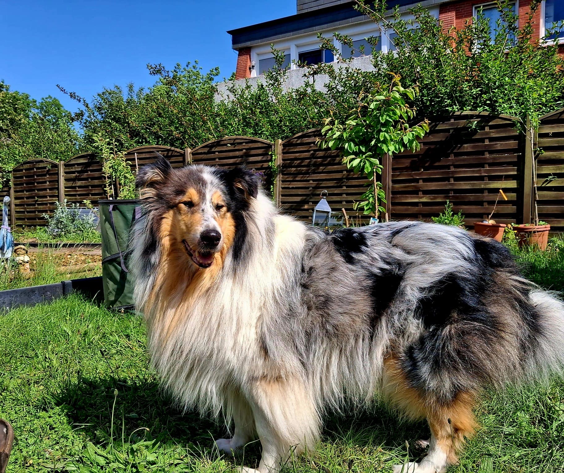 Hanna mit 5 Jahren 