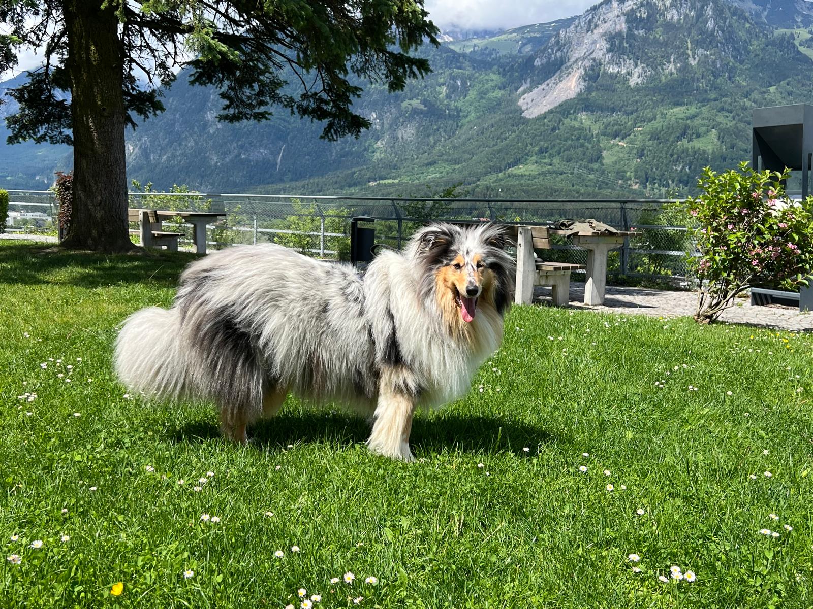 Juna mit 2 Jahren 
