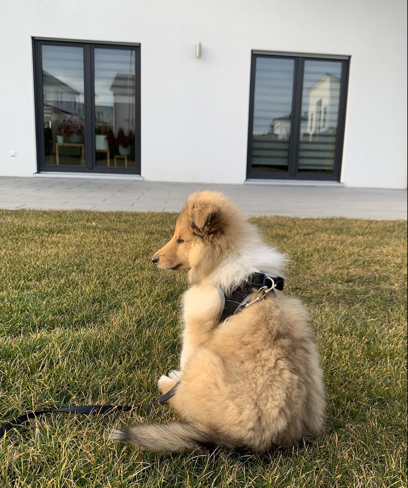 Ilana im neuem Zuhause