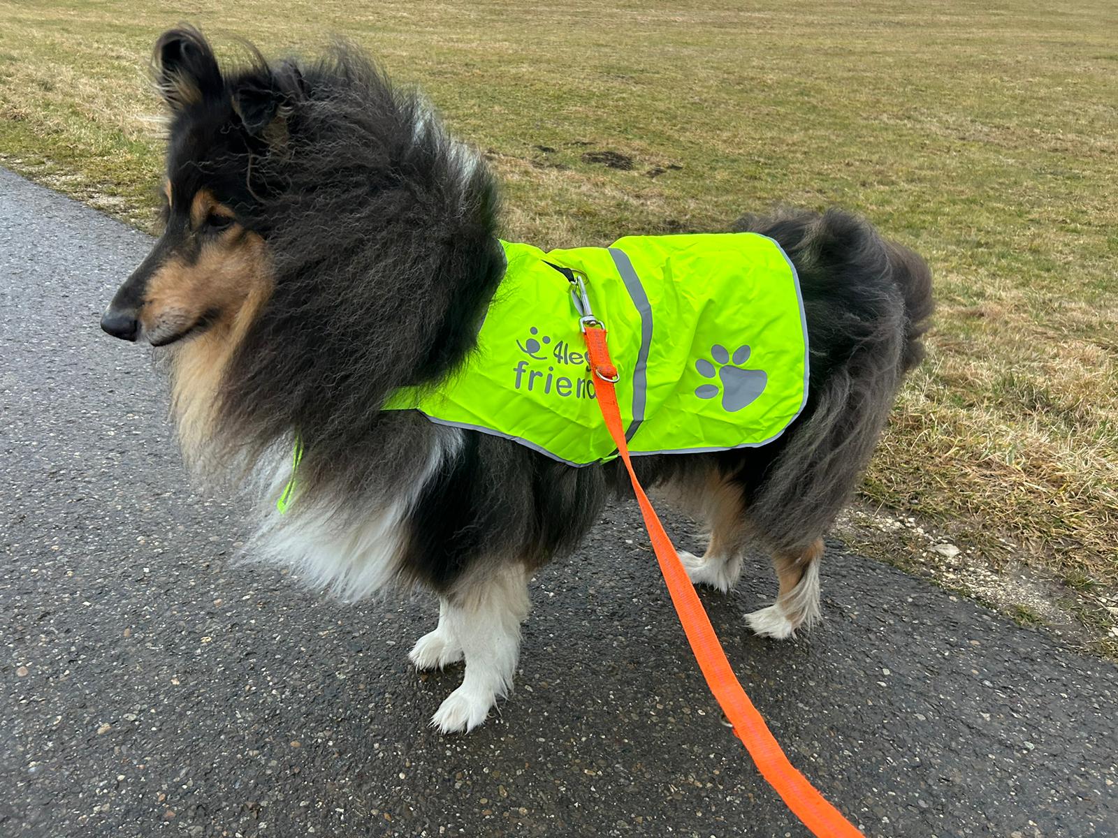 Alvin mit 8 Jahren 