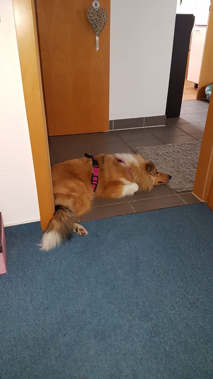 Elena mit 6 Monaten