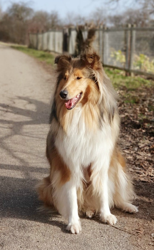 Elena mit 2 Jahren