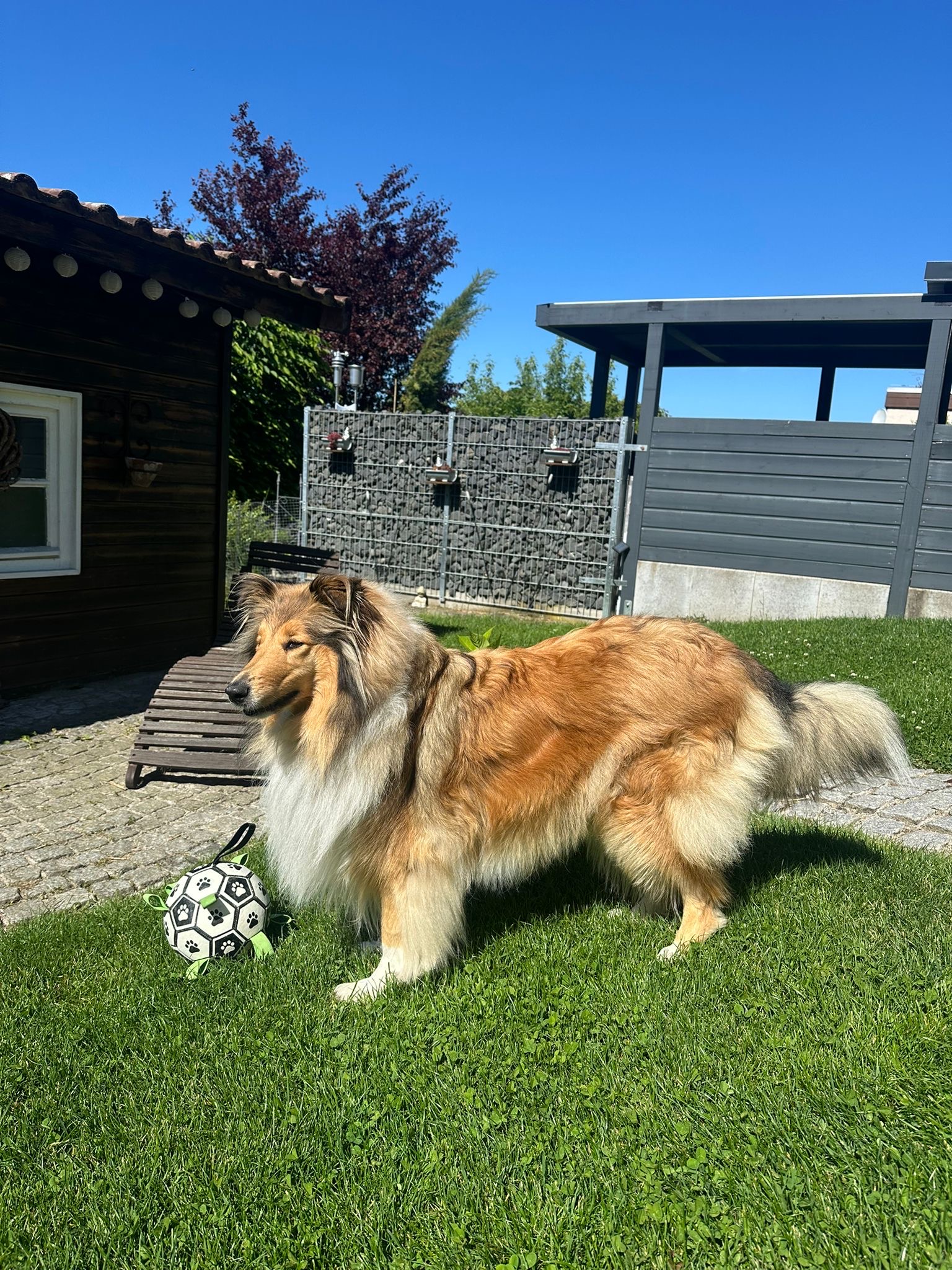 Kiara mit 4 Jahren 