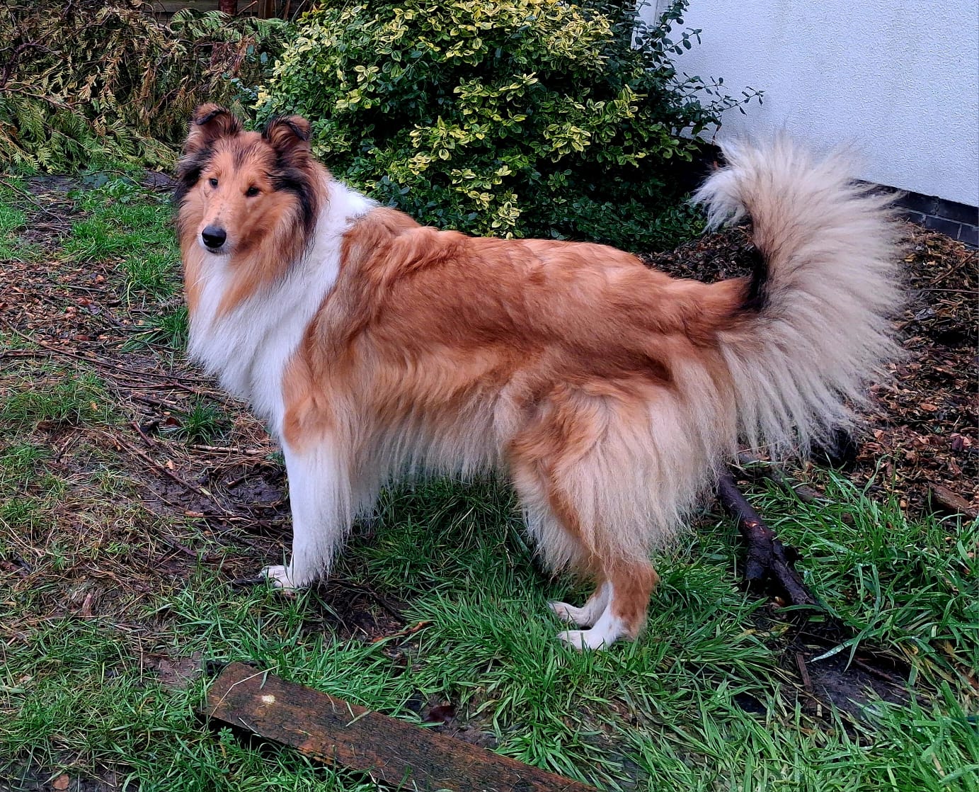 Isa mit 4 Jahren 