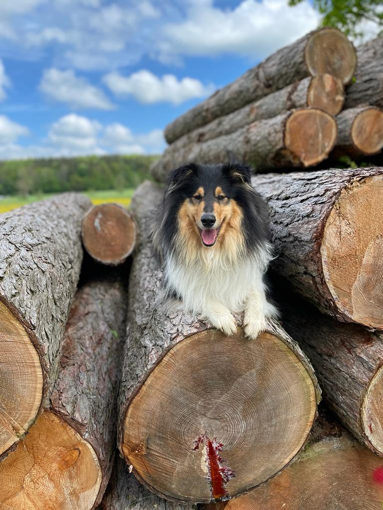 Hermine mit 2 Jahren 