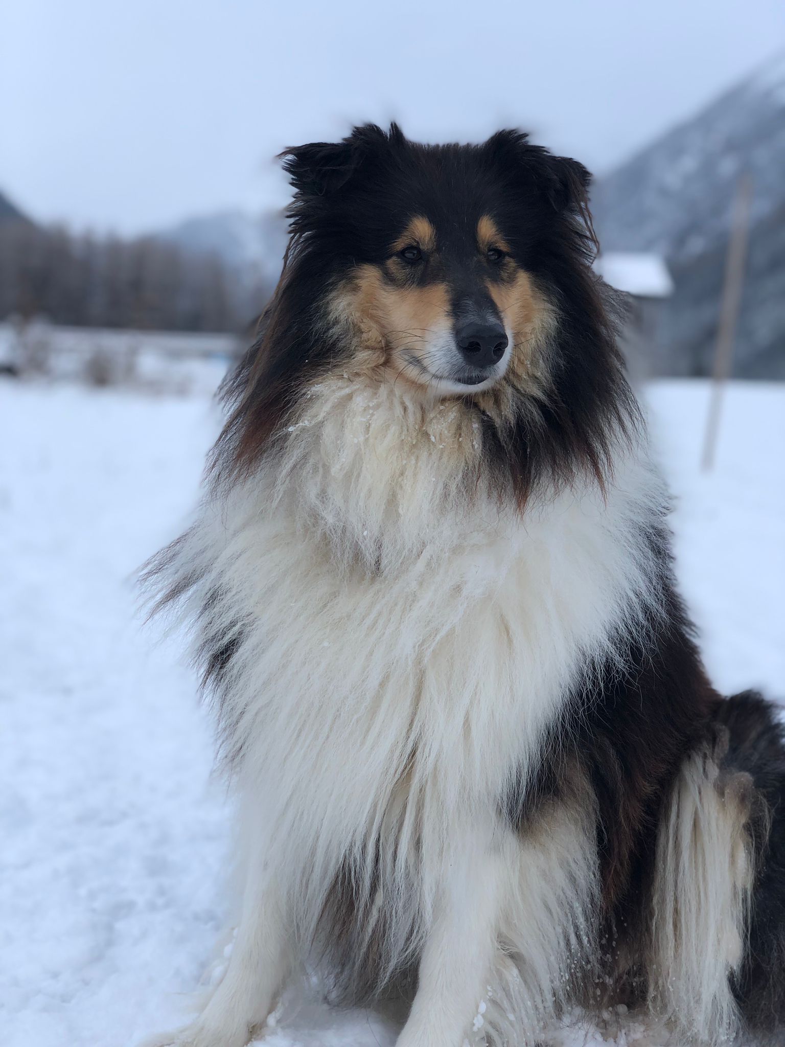Enya mit 3 Jahren
