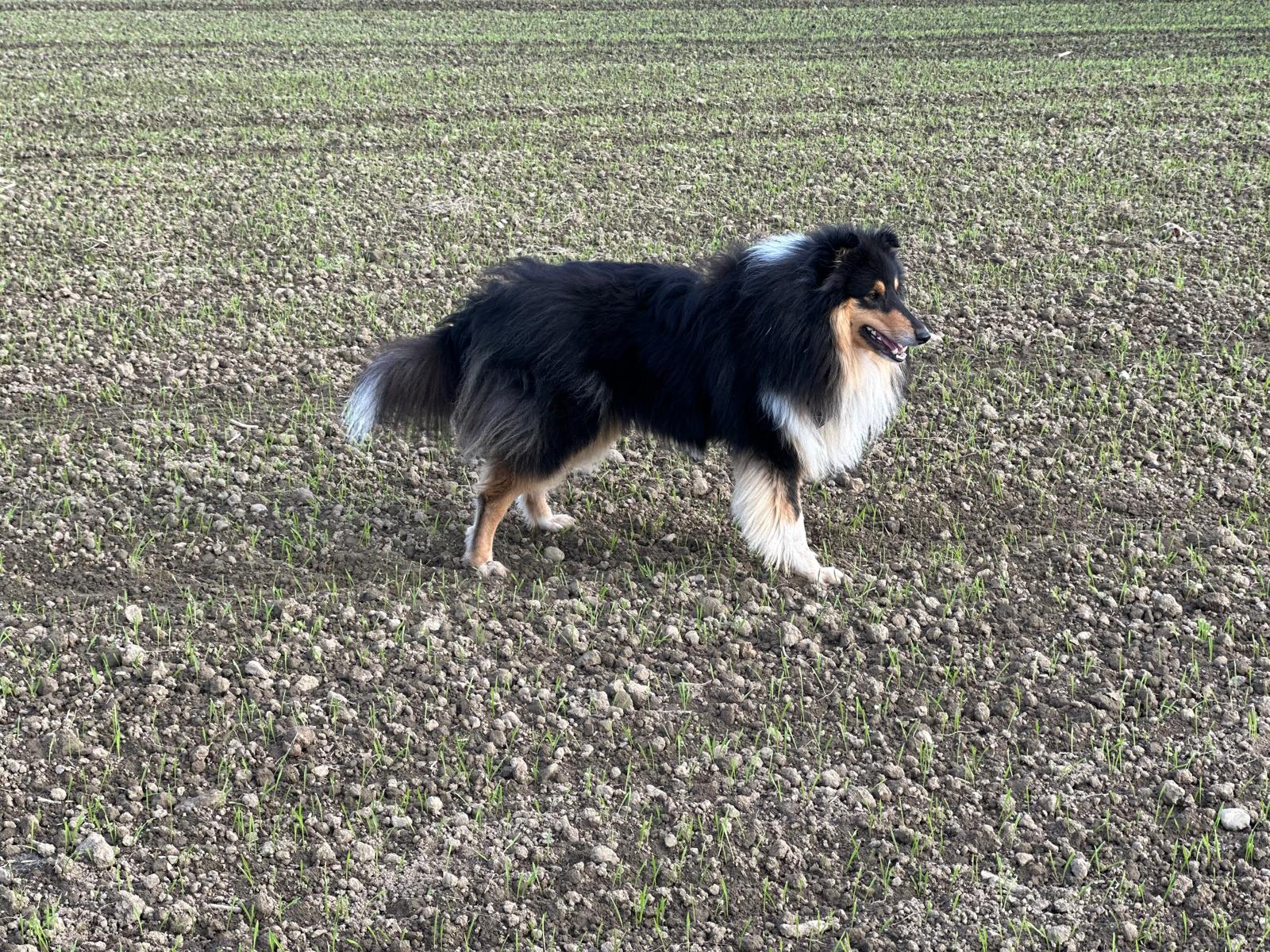 LeRoy mit 2 Jahren 