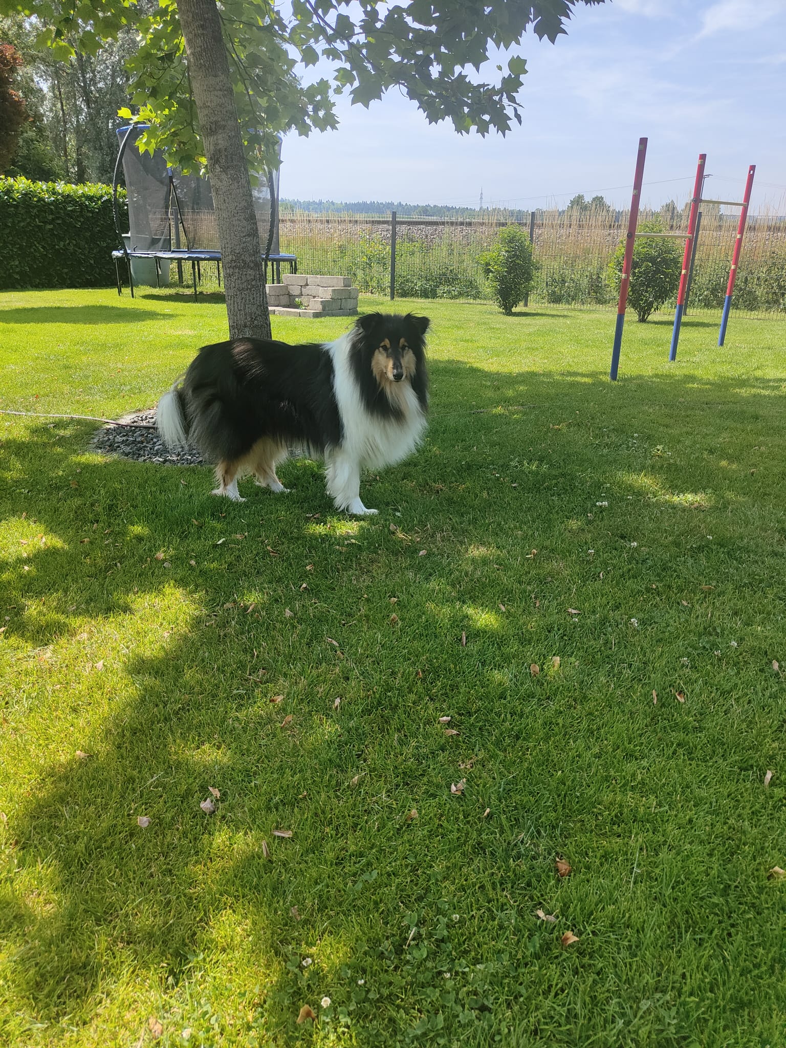 Flash mit 5 Jahren 